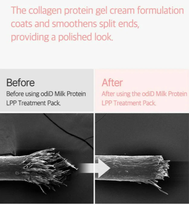 Milk Protein LPP Hair Treatment