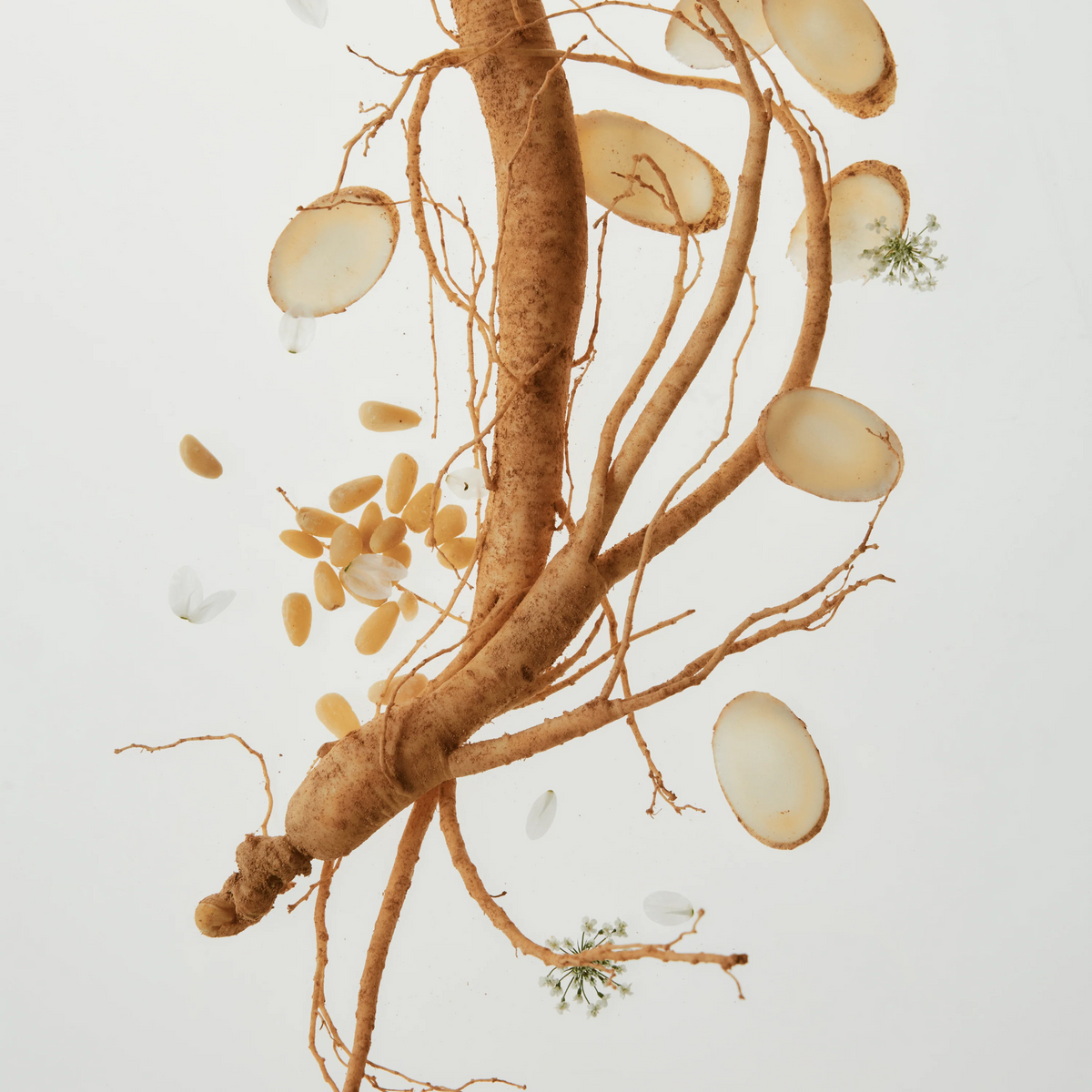 Revive Serum: Ginseng + Snail Mucin