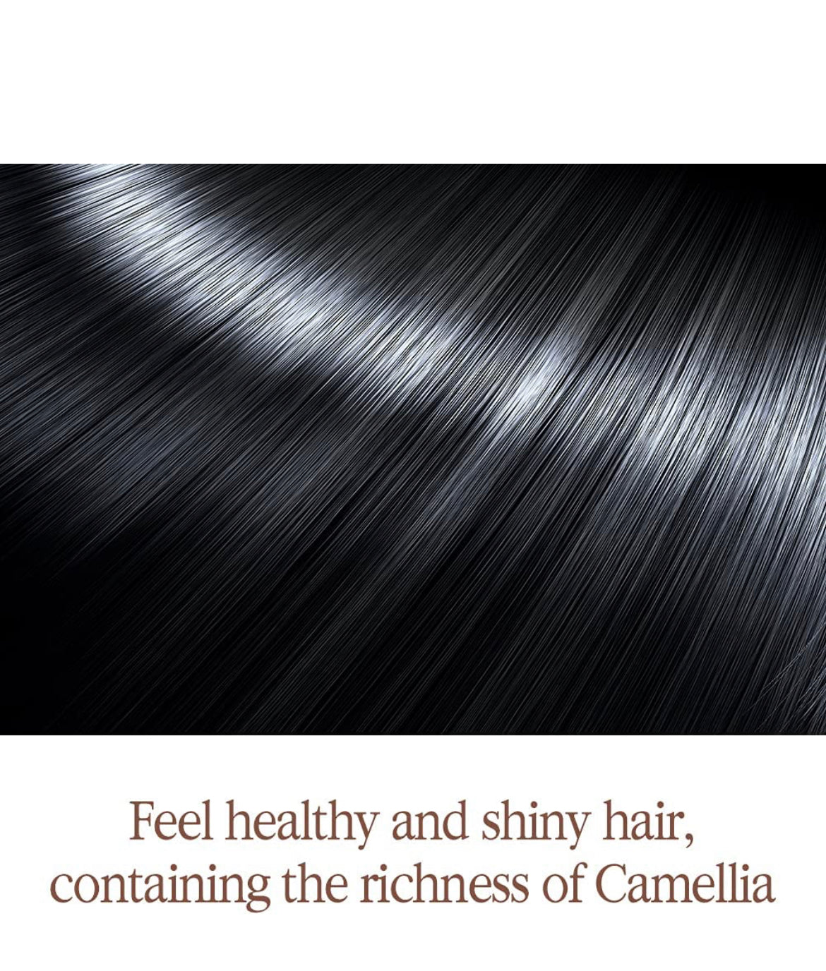 Pyunkang yul Herbal Hair Loss Control Treatment 500ml